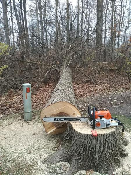 Mitchell Tree Company