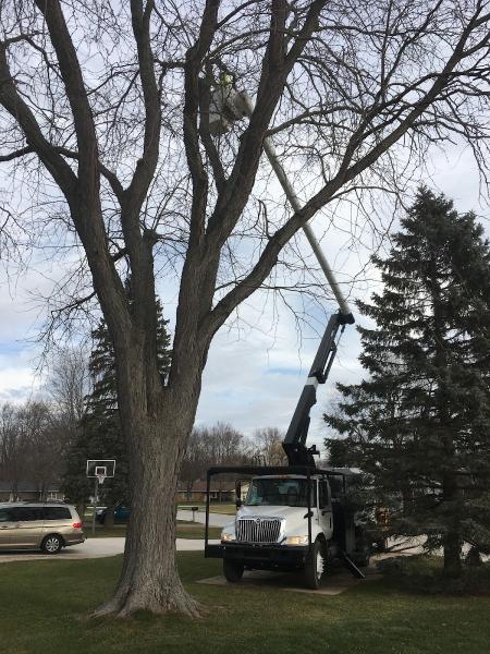 Mitchell Tree Company