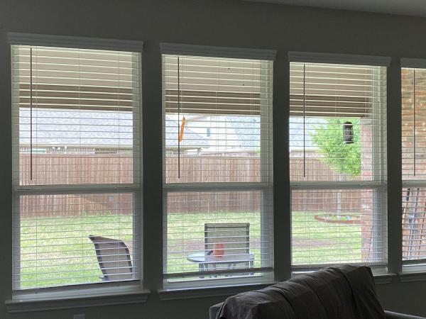 Alta Window Cleaning