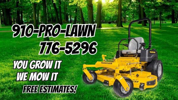 Pain In the Grass Lawn Service LLC