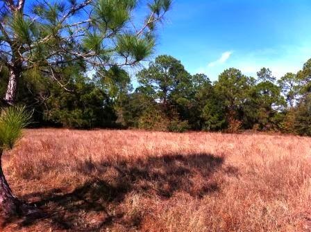 Lehigh Acres Residential Building Site