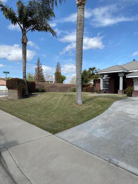 Pro Cut Landscape Maintenance