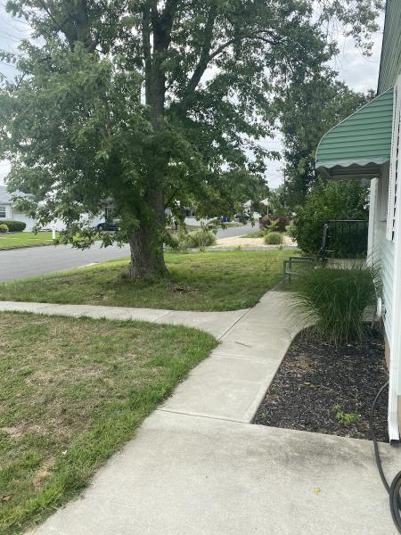 Ultimate Tree Service