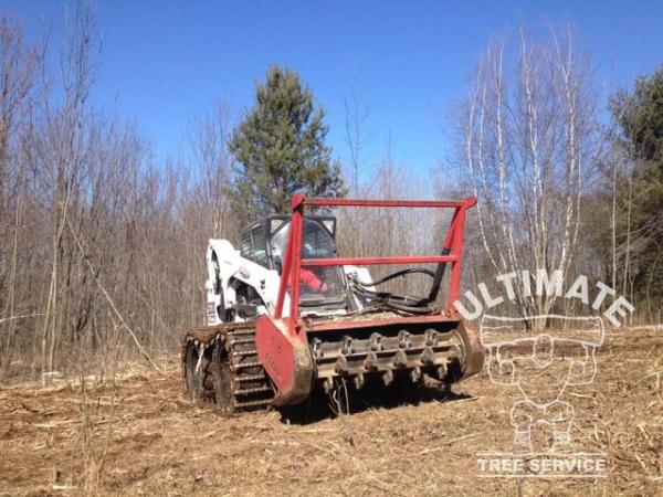 Ultimate Tree Service