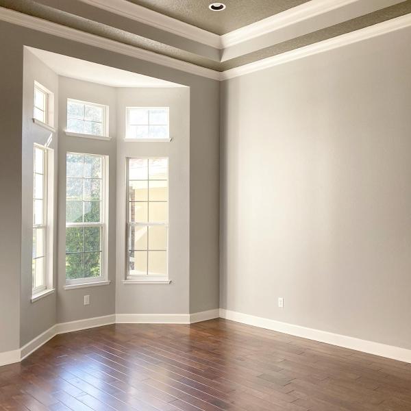 Seal Pro Painting