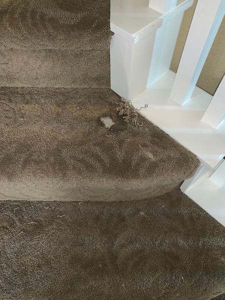 Dallas Carpet Repair & Cleaning