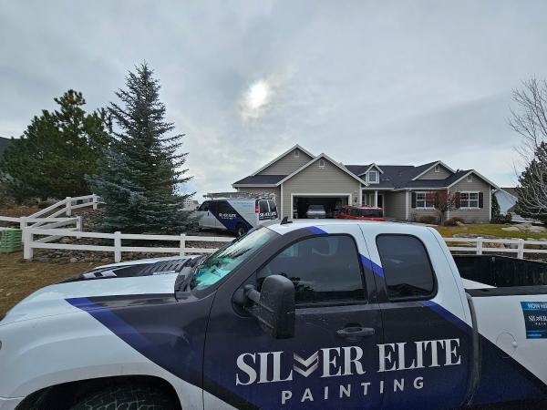 Silver Elite Painting