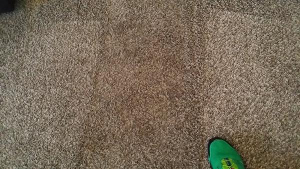 Greenway Carpet Cleaning