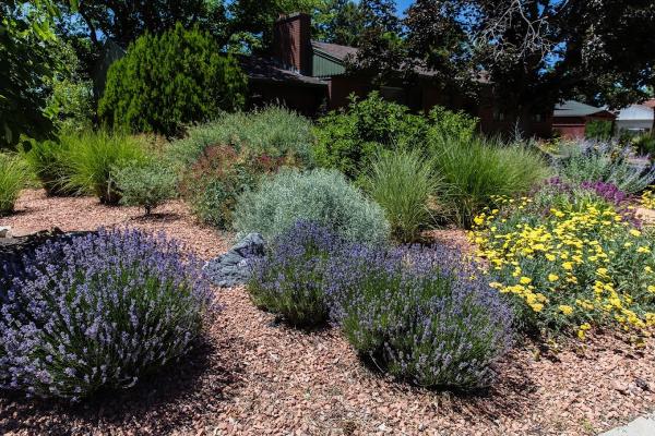 Silver Sage Xeriscape & Design