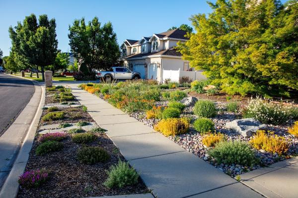 Silver Sage Xeriscape & Design