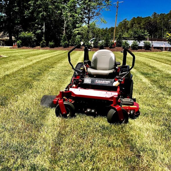 Delta Lawn & Landscapes