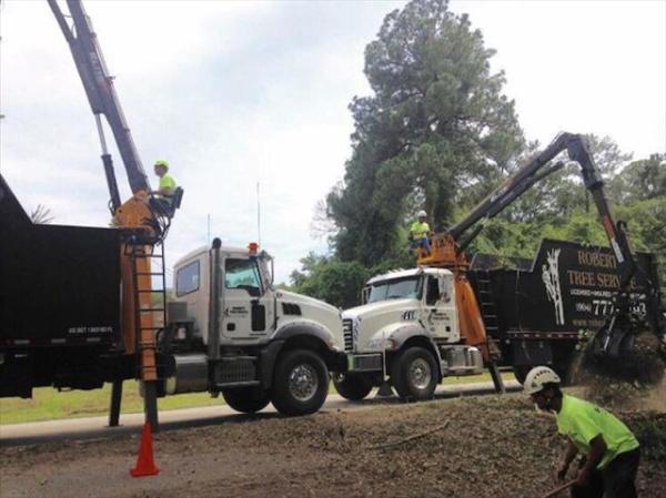 Robert's Tree Service