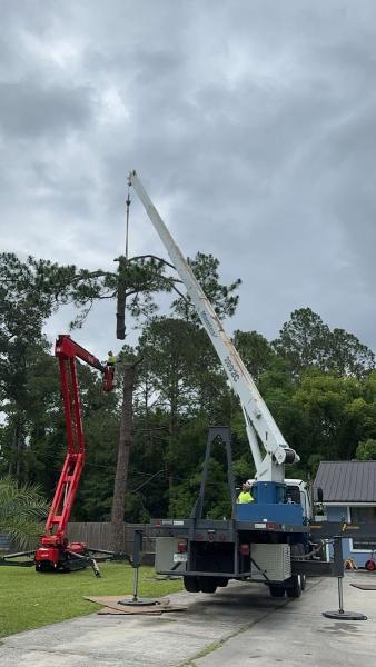 Robert's Tree Service