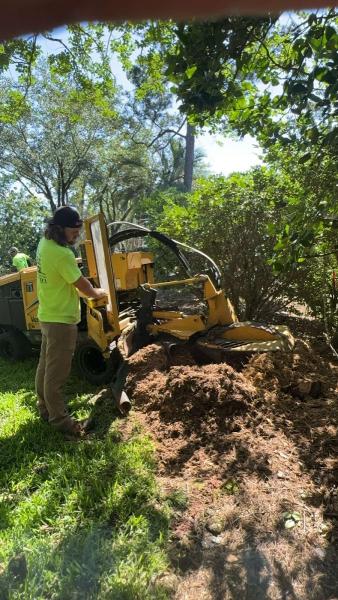Robert's Tree Service