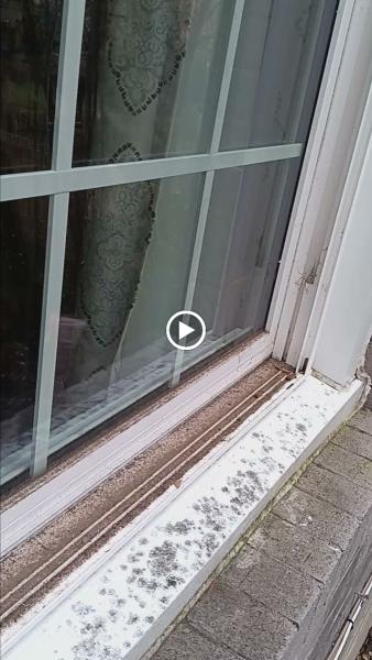 Clear Choice Window Cleaning LLC