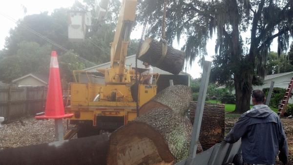 Ironhead Tree Service