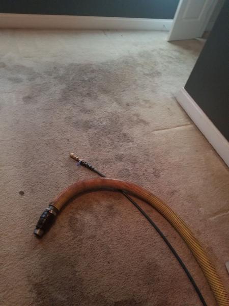 Save A Lot Carpet and Upholstery Cleaning