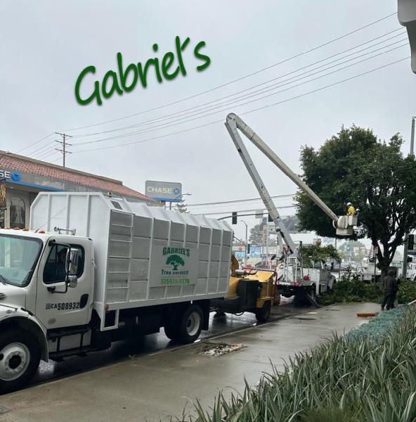 Gabriel´s Tree Service and Landscaping