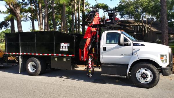 Palmetto Tree Service