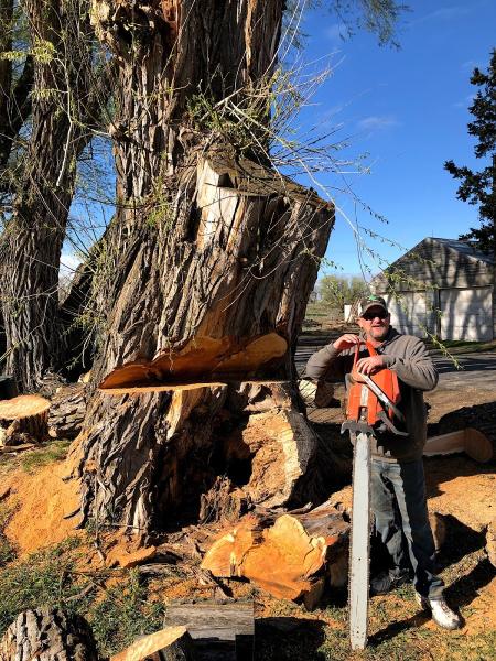 Zundel Tree Service