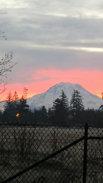 Pierce County Refuse