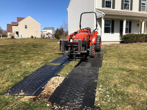 East Cumberland Tree Co.