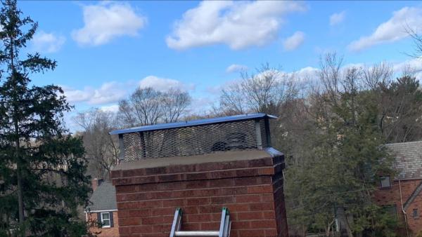 Chimney Cricket Chimney Sweep