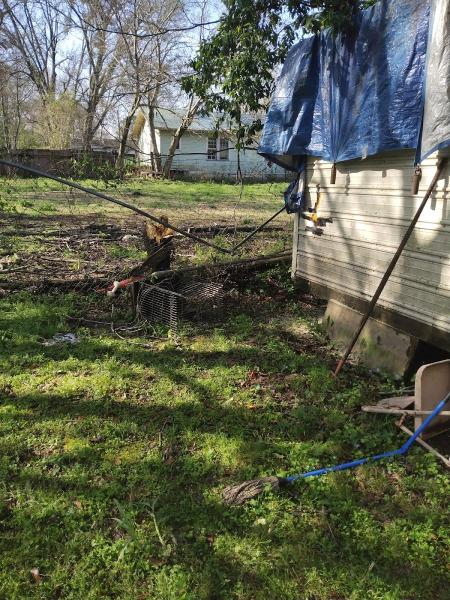 Alabama Urban Forestry