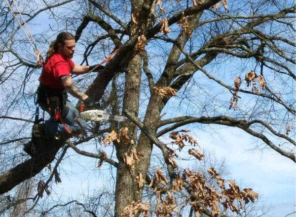 Tri-Cities Tree Service