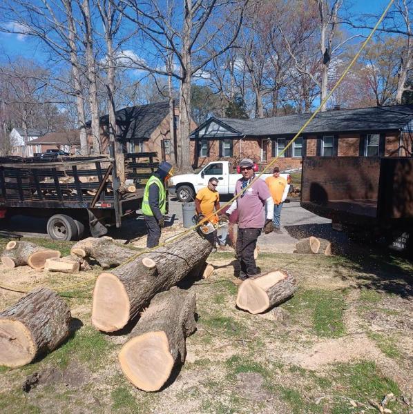 Simmons Tree Care
