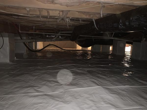 Carolina Crawl Space Services