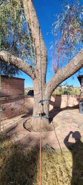 Aerial Tree Service LLC