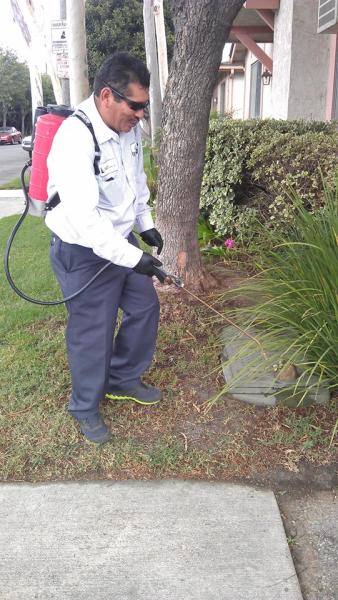 Cal Coast Termite Pest Inc.