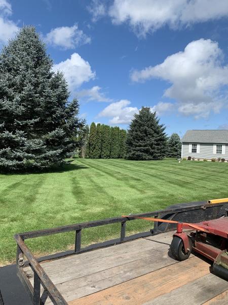 Wilson Lawn&grounds