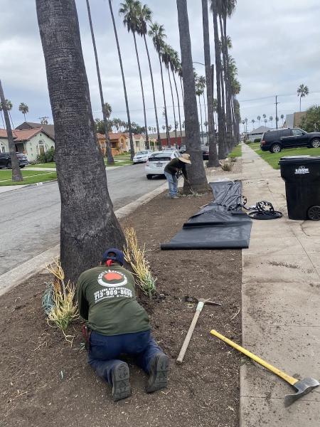 Jose's Landscaping