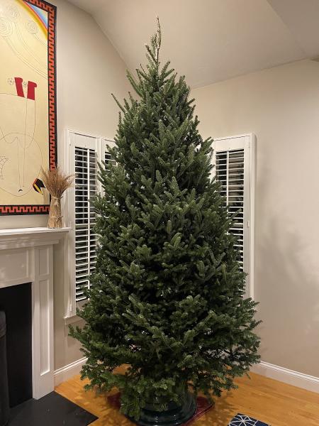 Evergreen Tree & Landscape Services