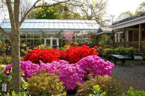 Evergreen Tree & Landscape Services