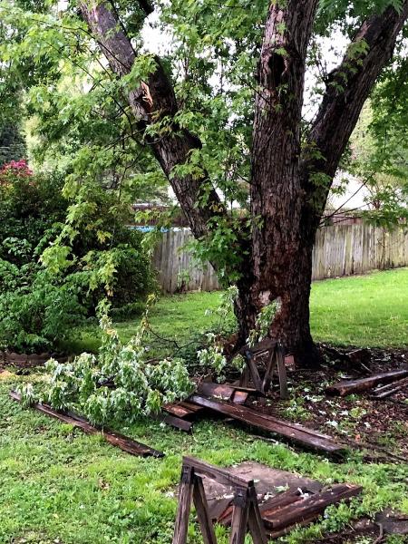 Brammer Tree Service