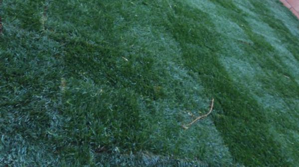 Adrians Landscaping