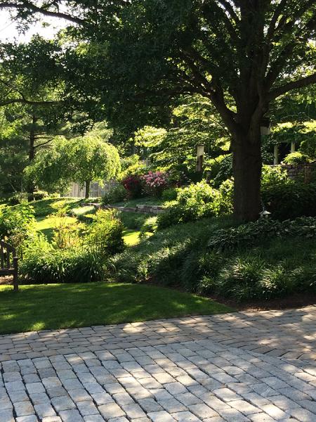 Whole 9 Yards Lawn Care and Landscapes