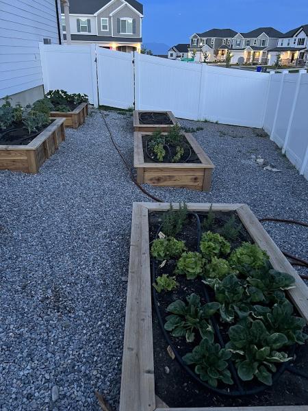 Silvercreek Garden Boxes