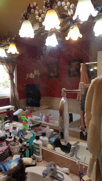Maid In Michigan Cleaning Services Llc