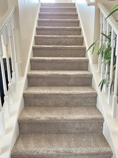 Carpet Pro Cleaners