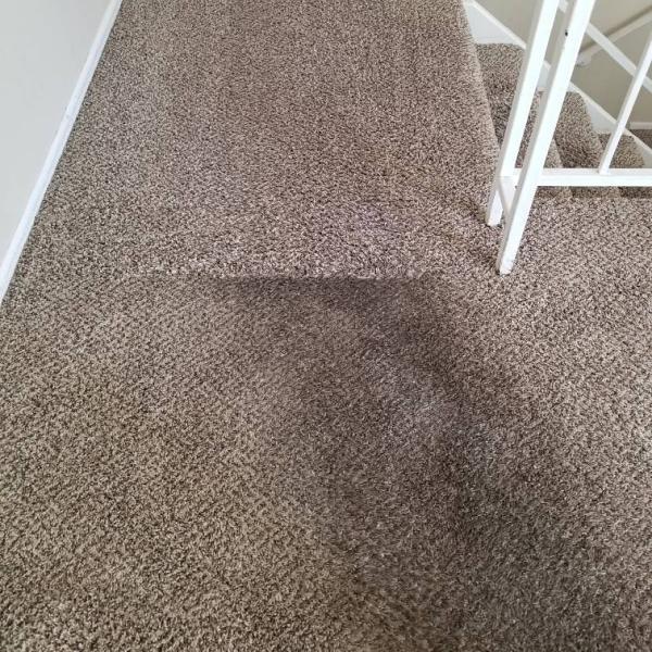 Chapple's Carpet Cleaning