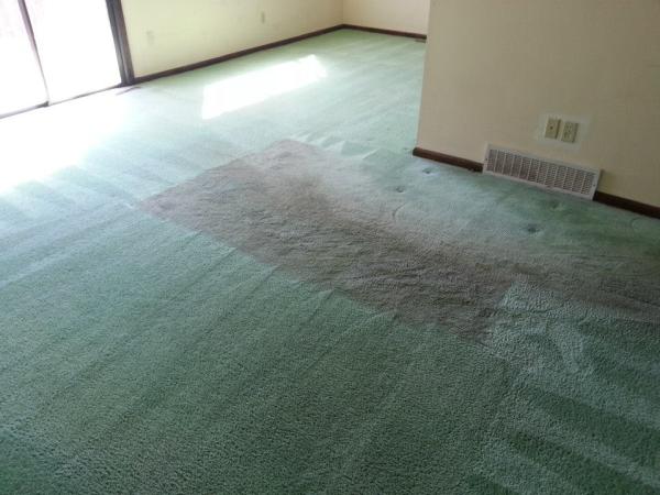 Chapple's Carpet Cleaning
