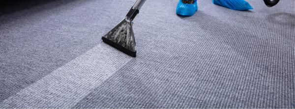 Morning Light Carpet Cleaning