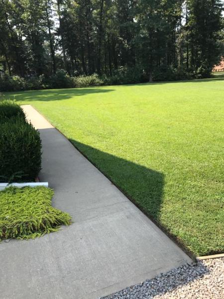 Moorer's Mowing
