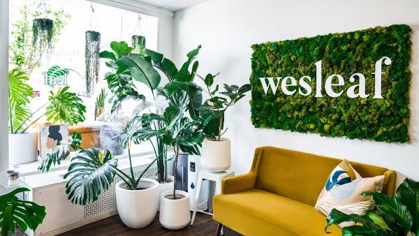 Wesleaf Designs and Decor