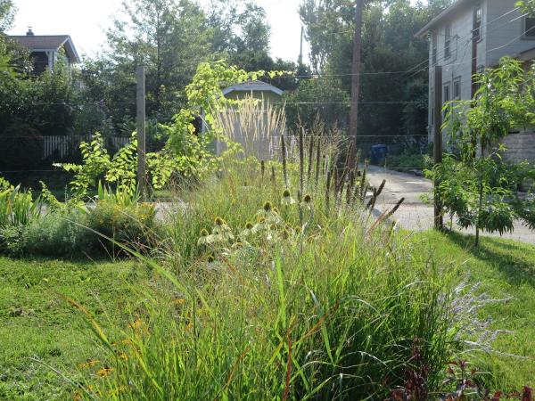 Ethan McGory Garden Design and Landscape Architecture