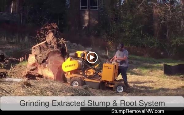 Stump Removal Northwest
